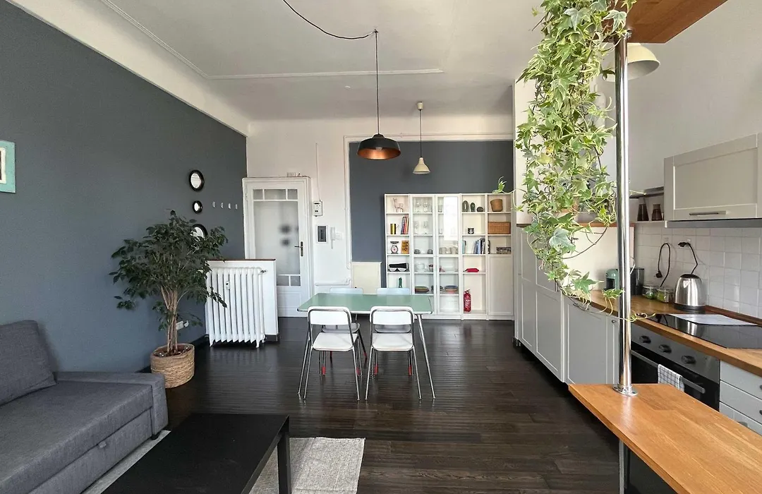Meleto APT-1